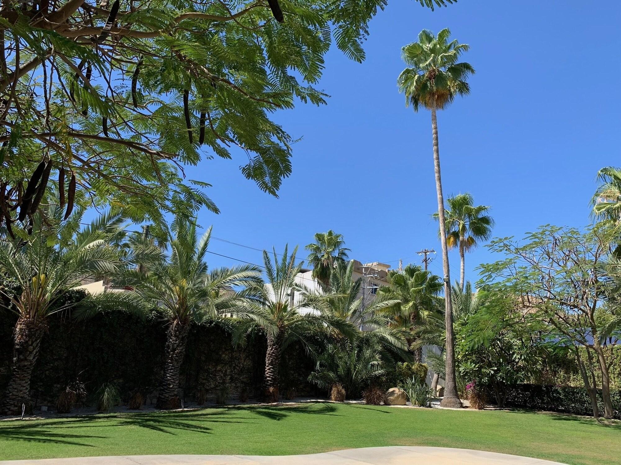 Los Milagros Hotel Cabo San Lucas Dış mekan fotoğraf