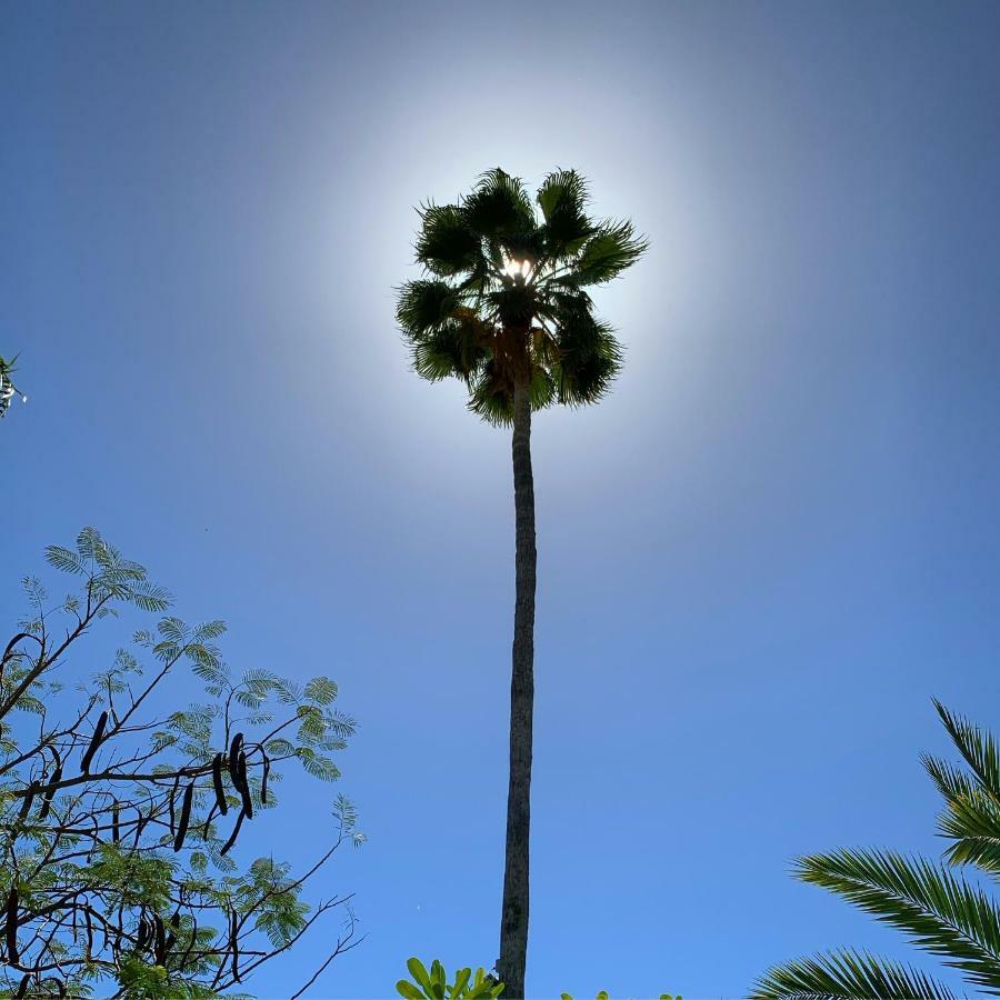 Los Milagros Hotel Cabo San Lucas Dış mekan fotoğraf